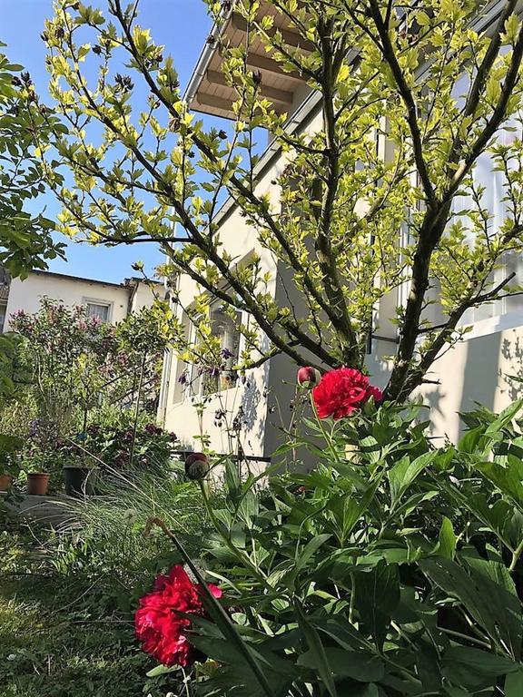 Stadtoase Koblenz Koblenz  Eksteriør bilde