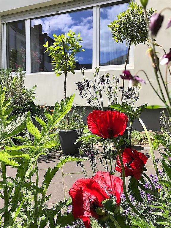 Stadtoase Koblenz Koblenz  Eksteriør bilde